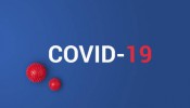 Covid-19 - Été 2021