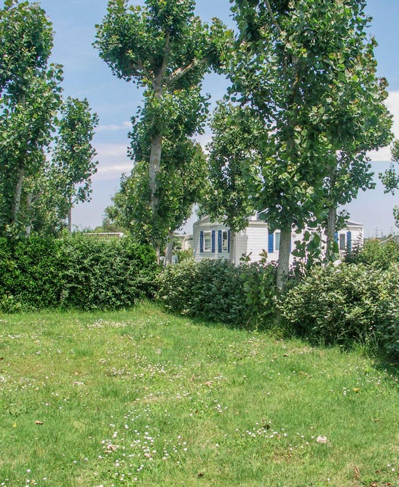 locations emplacement camping ile doleron