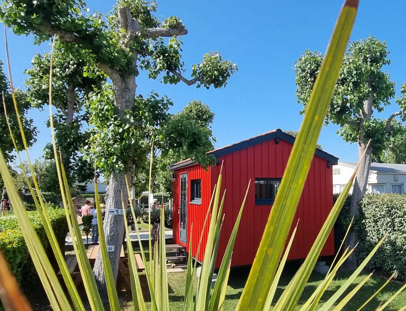 cabane IO et vegetation