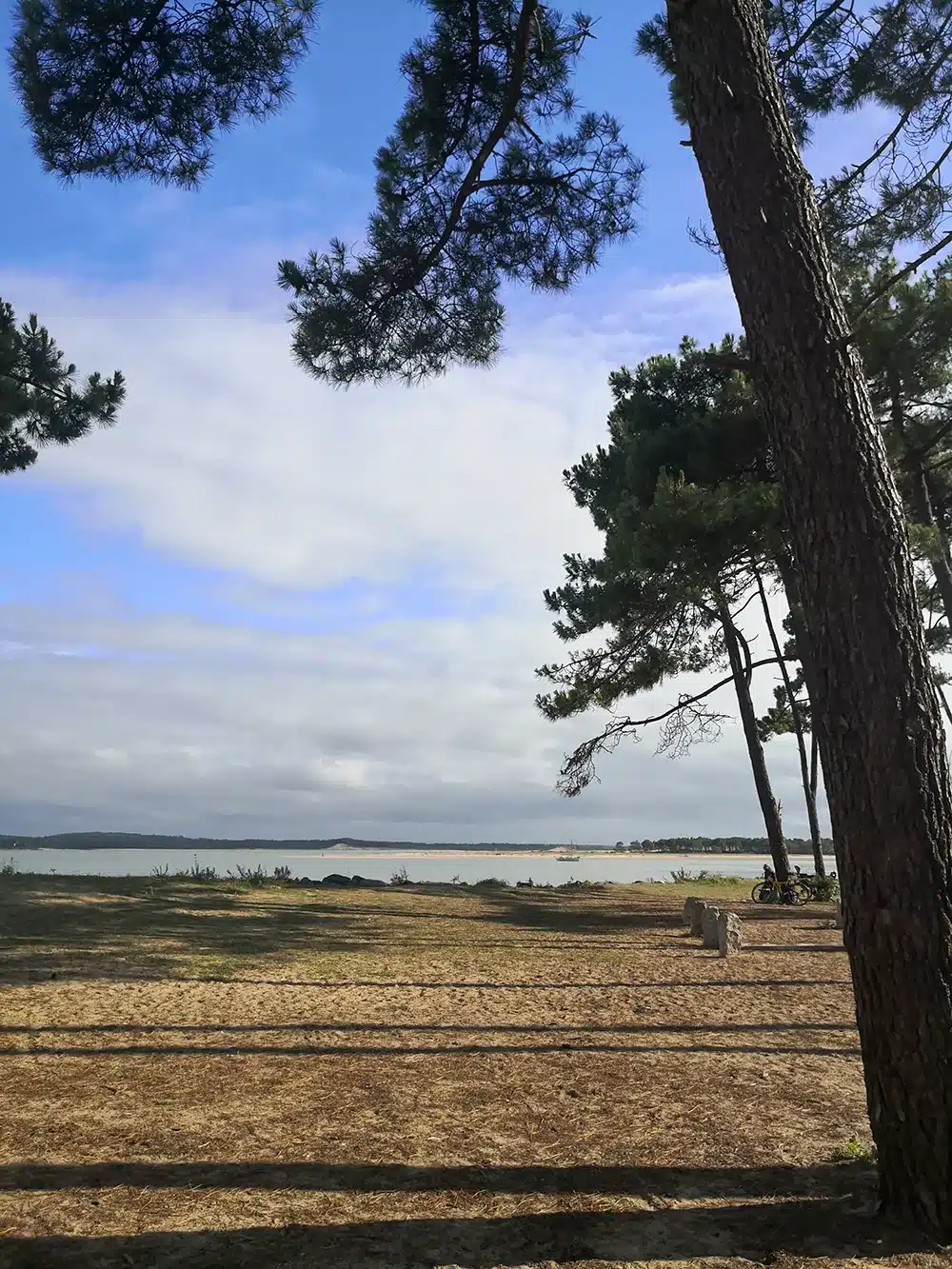 camping nature en bord de mer en Charente Maritime