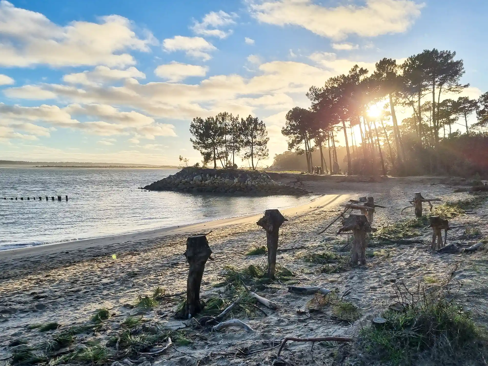 decouverte ile Oleron