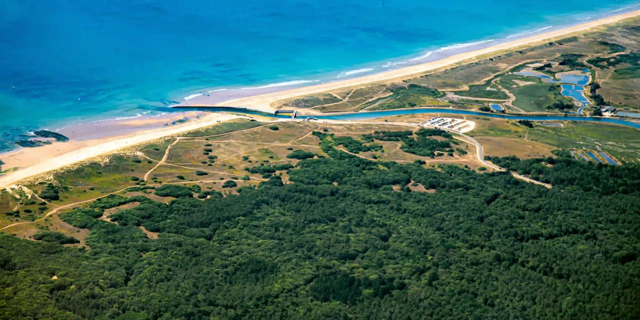 Les forêts d’Oléron
